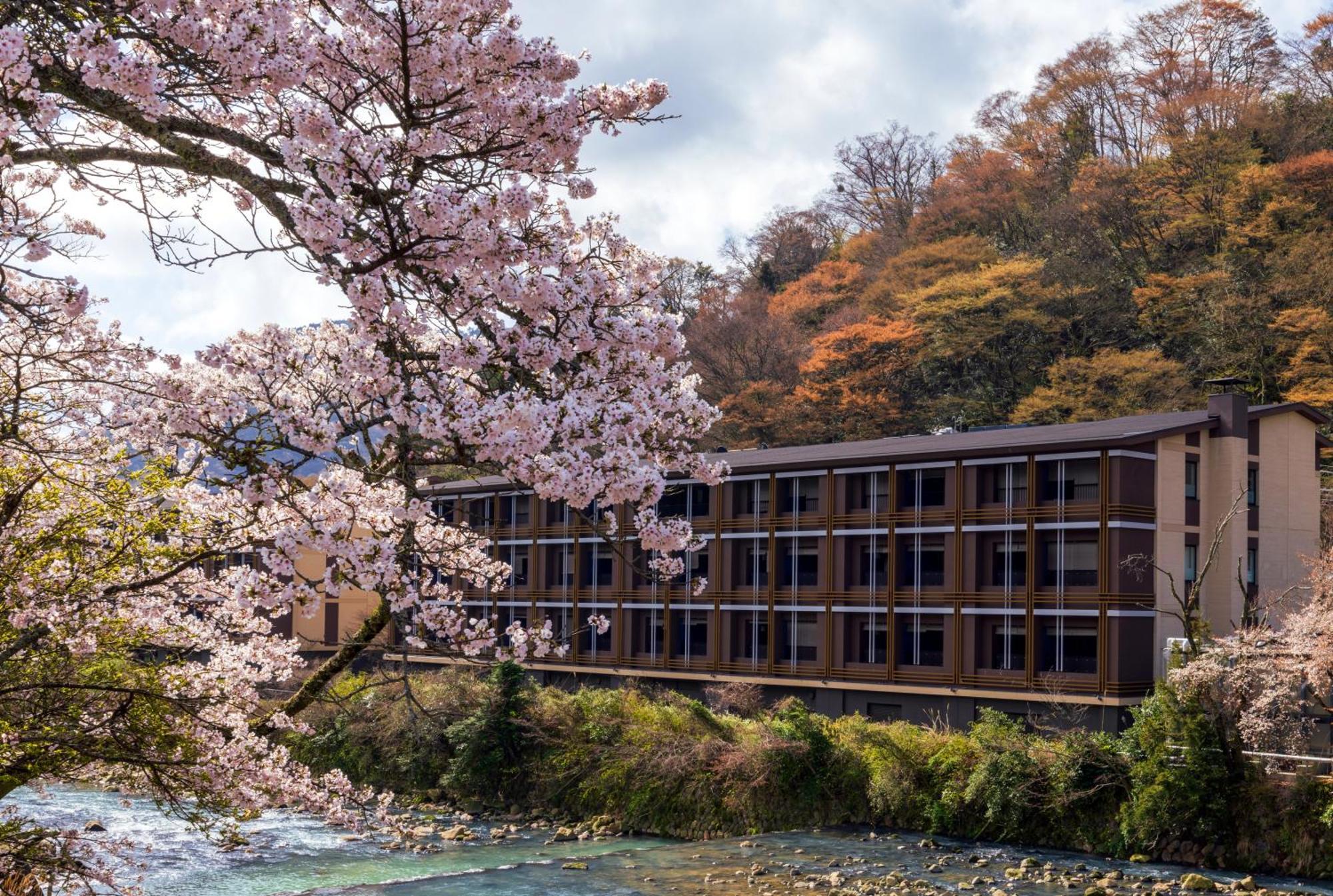 Hotel Indigo Hakone Gora, An Ihg Hotel Exteriér fotografie